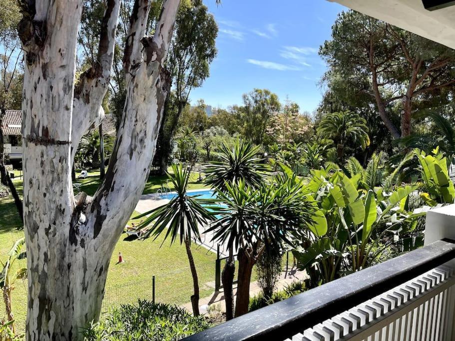 Puerto Banus Vega Suite Marbella Exteriér fotografie
